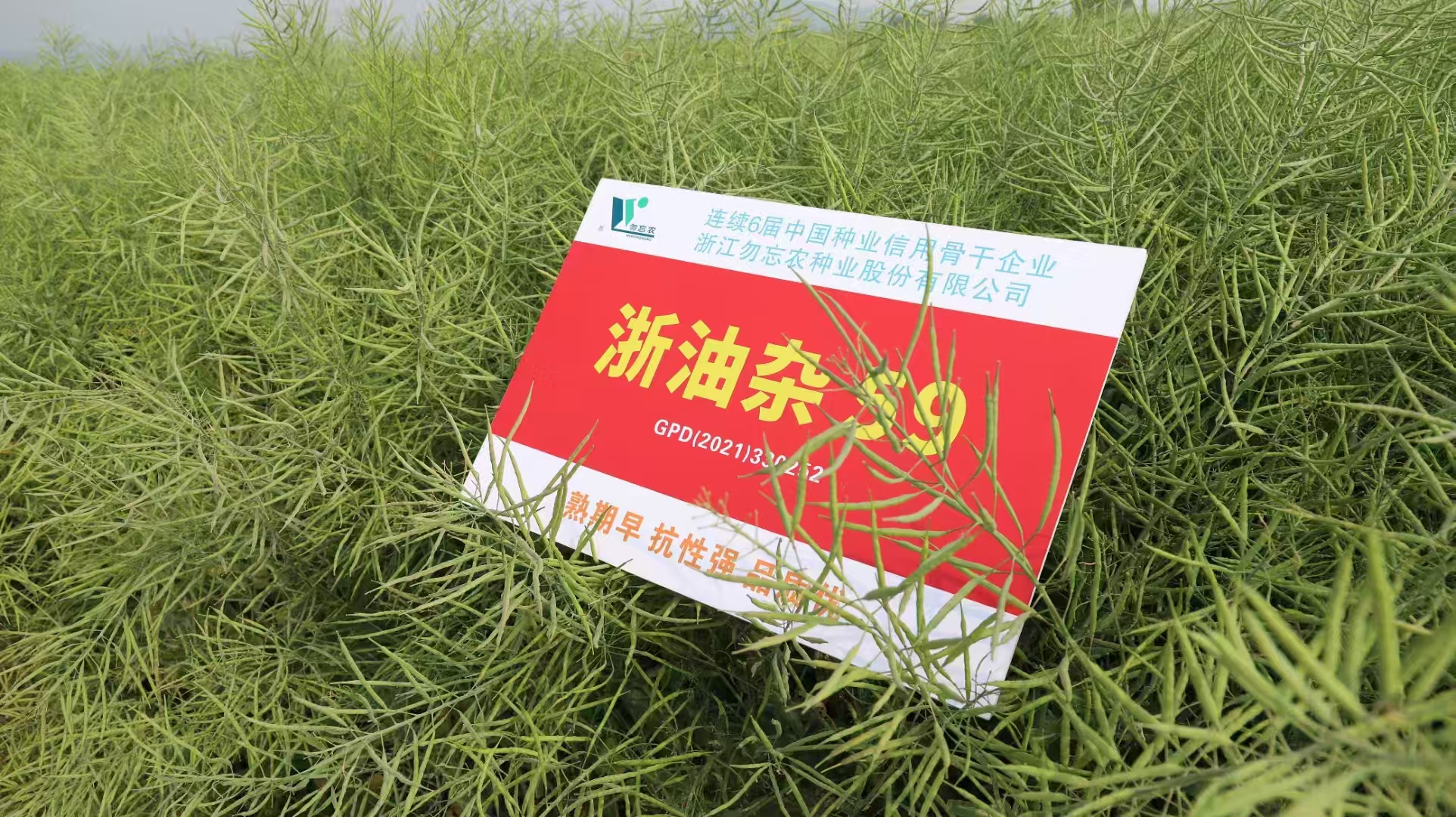 微信图片_20250511160321.jpg